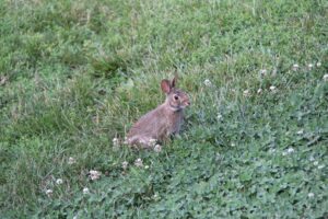 IMG_2816
