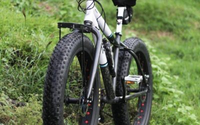 Are Trendy Fat Tire Bikes Worthy of the Hype?