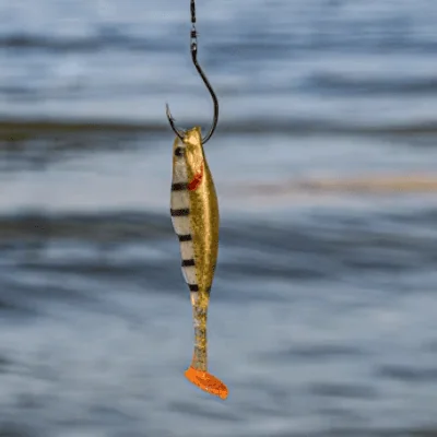 Best Outdoors Gear