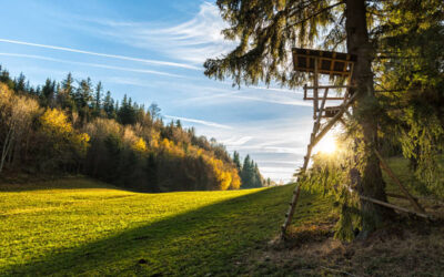 7 Tips to Make Your Hunting Stand More Comfortable  