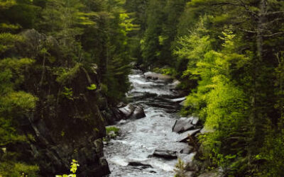 The Hiking Magic That is 100-Mile Wilderness