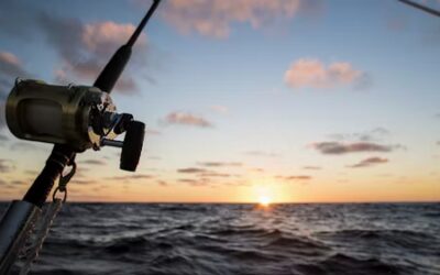 Spincast Fishing Rod Reel or Baitcast Reel? That is the Question