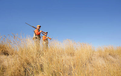 Interested in Becoming a Small Game Hunter? Here’s How to Start