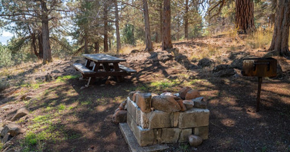 A picnic table, stone fire pit and raised grill among pine trees at a campground.