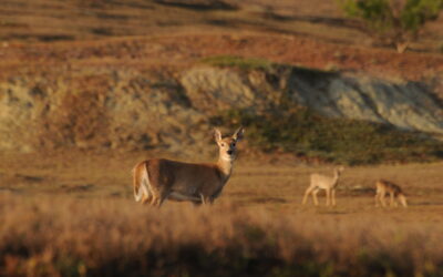 Outdoor News Briefing: October 8, 2026
